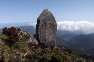 太忠岳Ｎｏ１