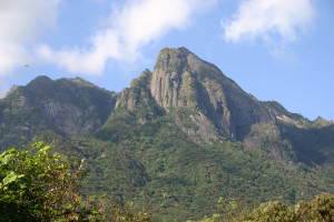 Mocchumu